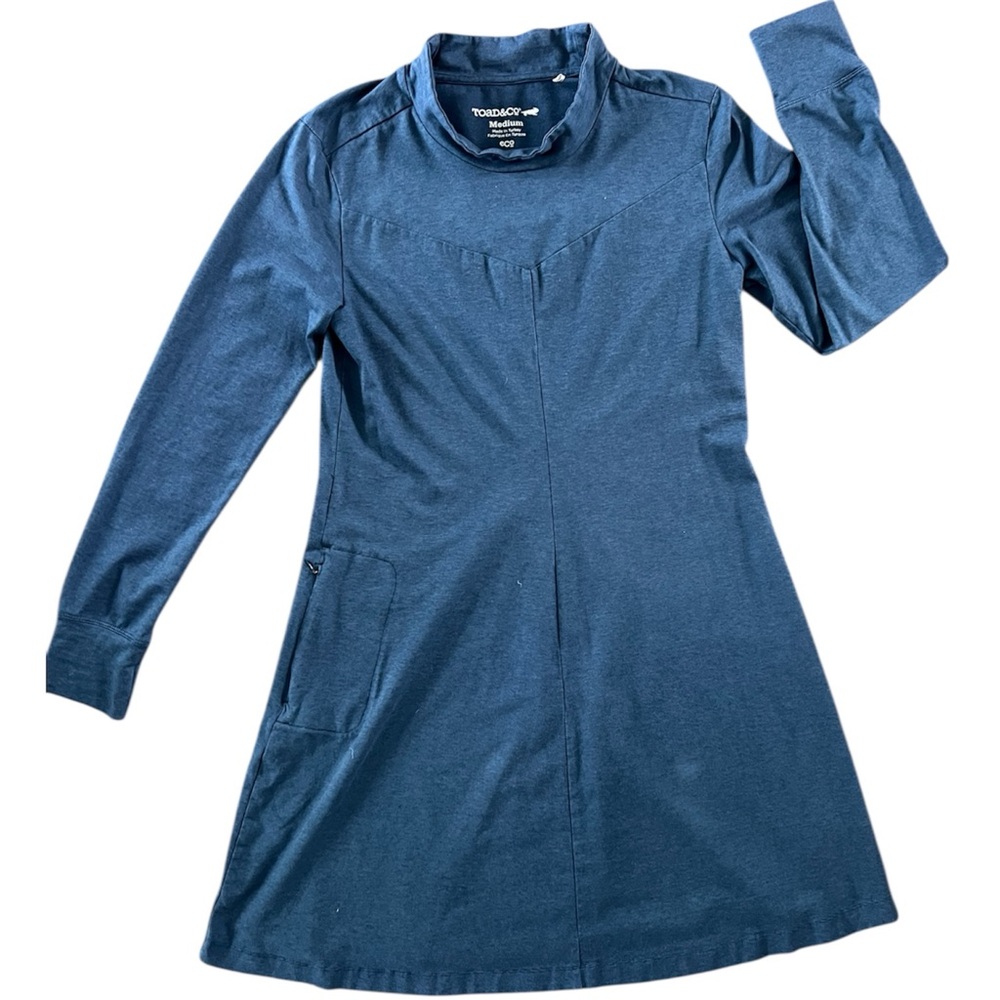 Toad&Co Blue Mock Neck Sweater Dress